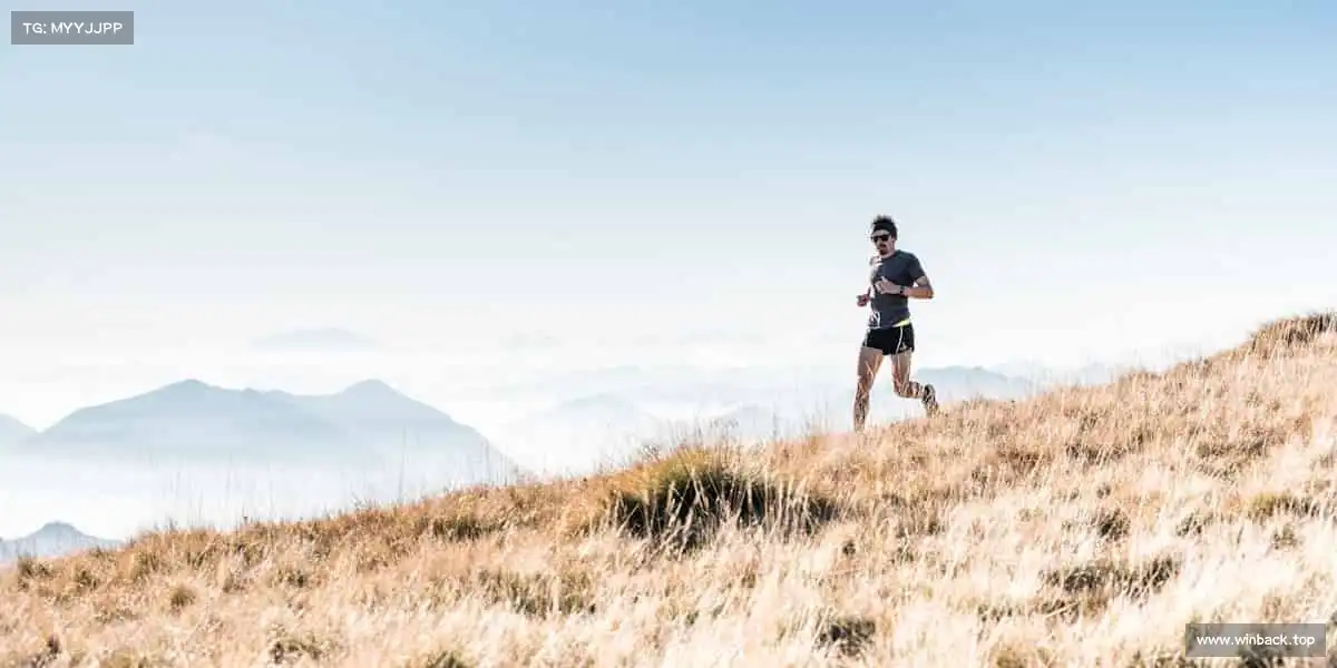 我们的品牌价值